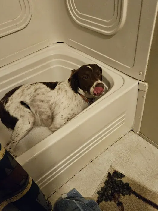 Tesson Ferry Veterinary Hospital Picture 1