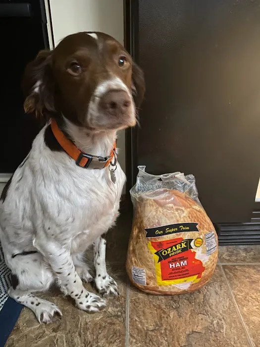 Tesson Ferry Veterinary Hospital Picture 2