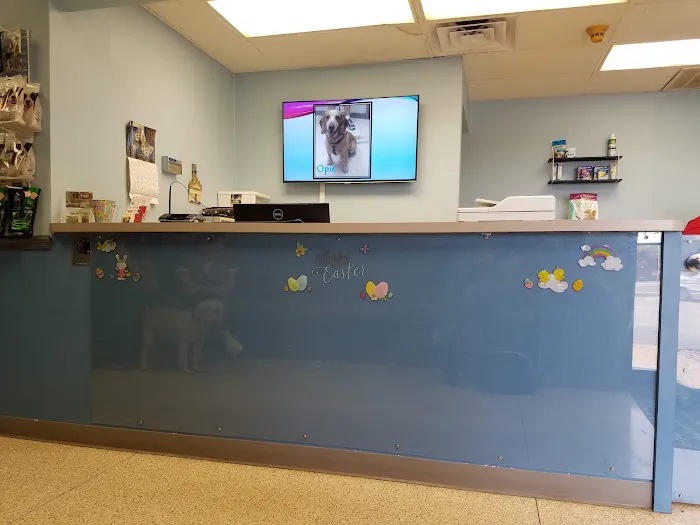 Wanner Jennifer K DVM Picture 1