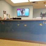 Wanner Jennifer K DVM