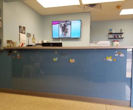 Wanner Jennifer K DVM