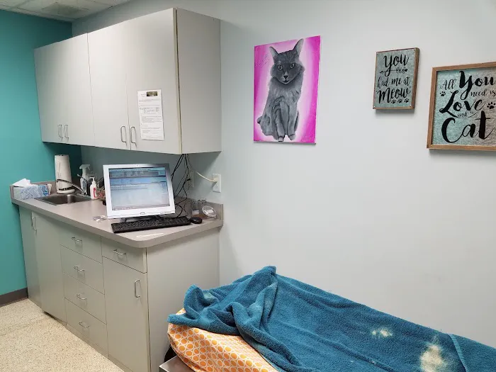 Wanner Jennifer K DVM Picture 2