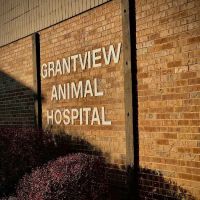 Grantview Animal Hospital ico