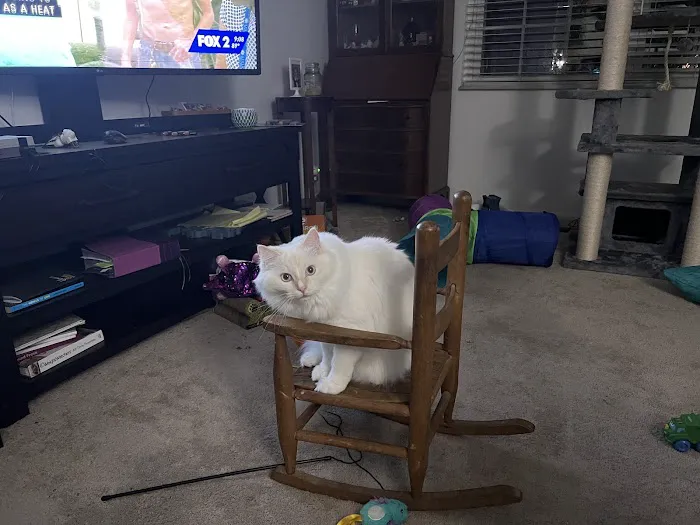 Grantview Animal Hospital Picture 8