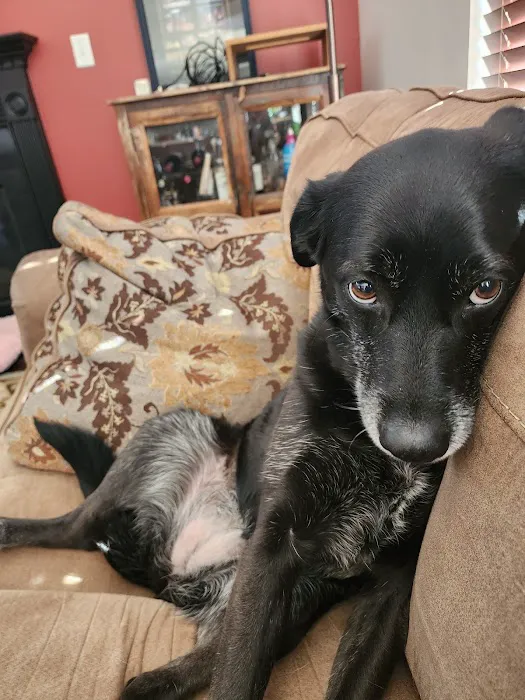 Grantview Animal Hospital Picture 4