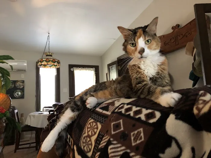 Grantview Animal Hospital Picture 5