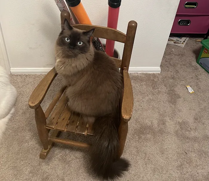 Grantview Animal Hospital Picture 7