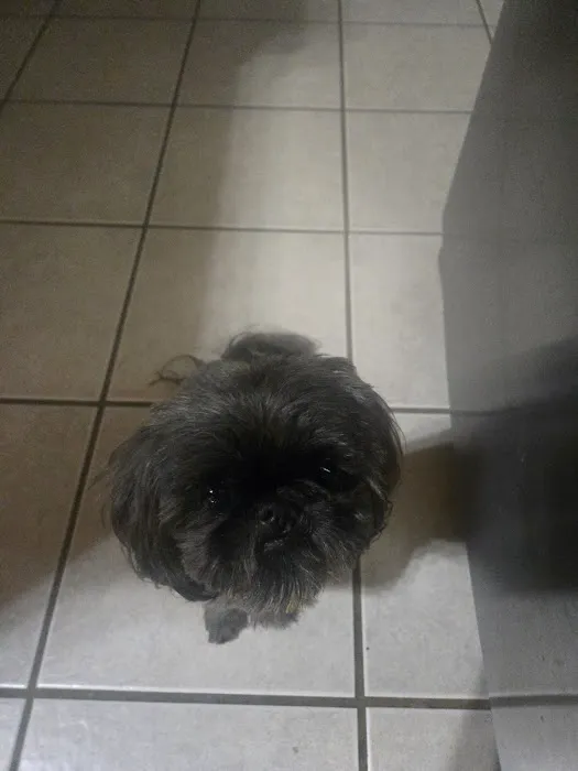 Grantview Animal Hospital Picture 6