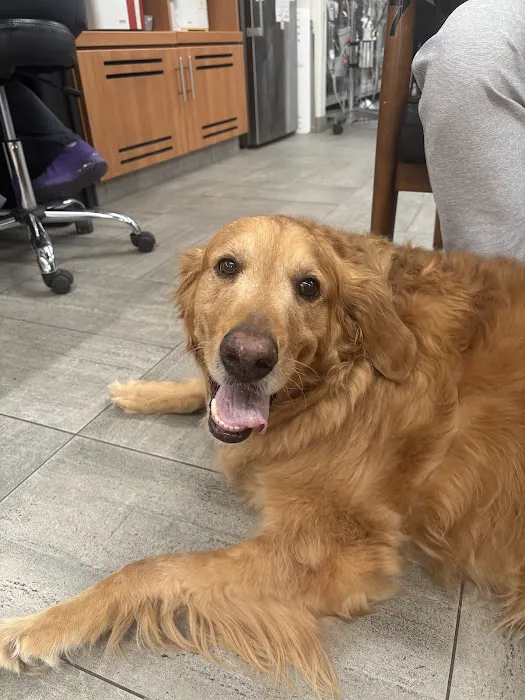 Grantview Animal Hospital Picture 9