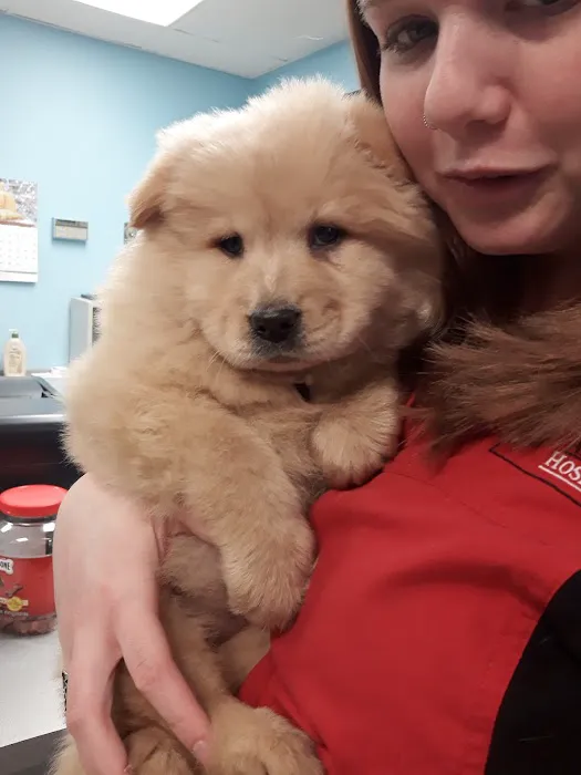 Grantview Animal Hospital Picture 10