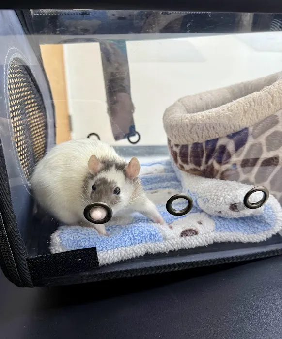 Family Pet Hospital Picture 2