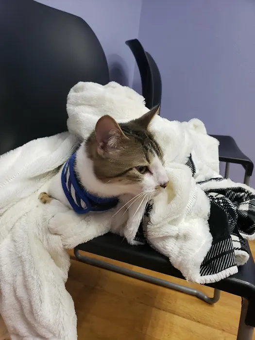 Family Pet Hospital Picture 6