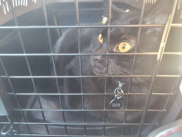 Family Pet Hospital Picture 4