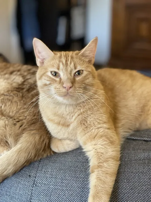 Family Pet Hospital Picture 9