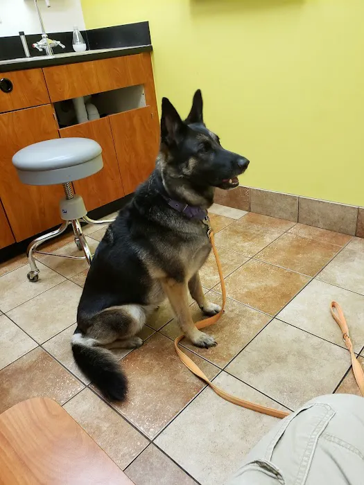 Banfield Pet Hospital Picture 3