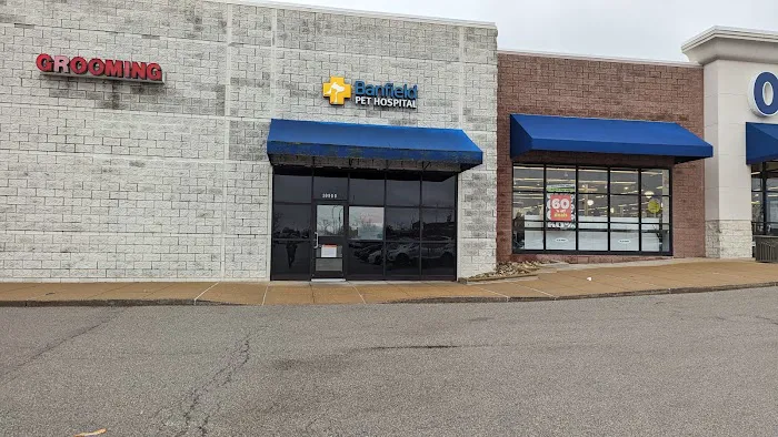 Banfield Pet Hospital Picture 4