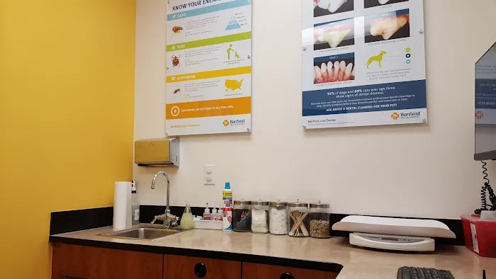 Banfield Pet Hospital Picture 8