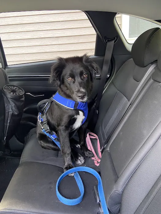 Banfield Pet Hospital Picture 9