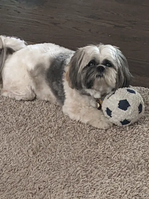 Tender Care Animal Hospital Picture 1