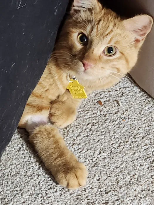 Tender Care Animal Hospital Picture 7