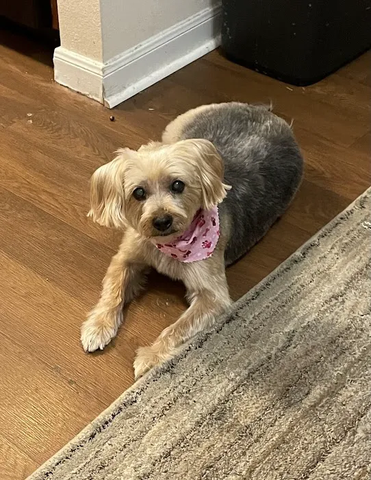 Tender Care Animal Hospital Picture 4