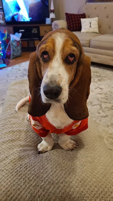 Tender Care Animal Hospital Picture 10