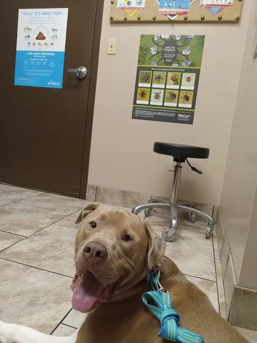 Tender Care Animal Hospital Picture 9