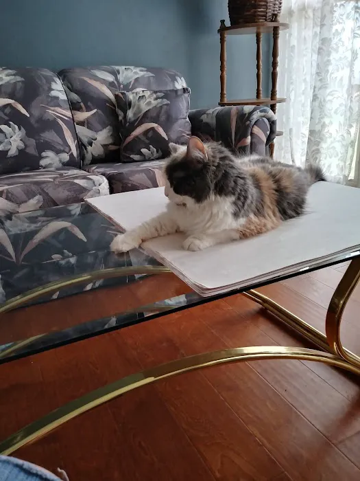 Westglen Animal Hospital Picture 2