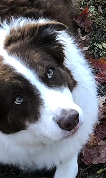 Westglen Animal Hospital Picture 1