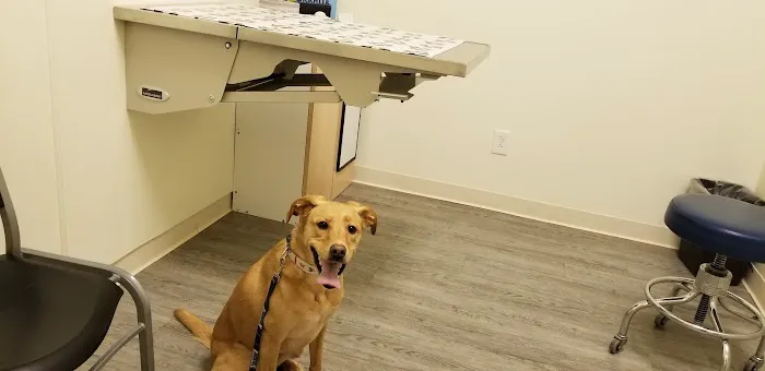 Arch Animal Hospital Picture 1