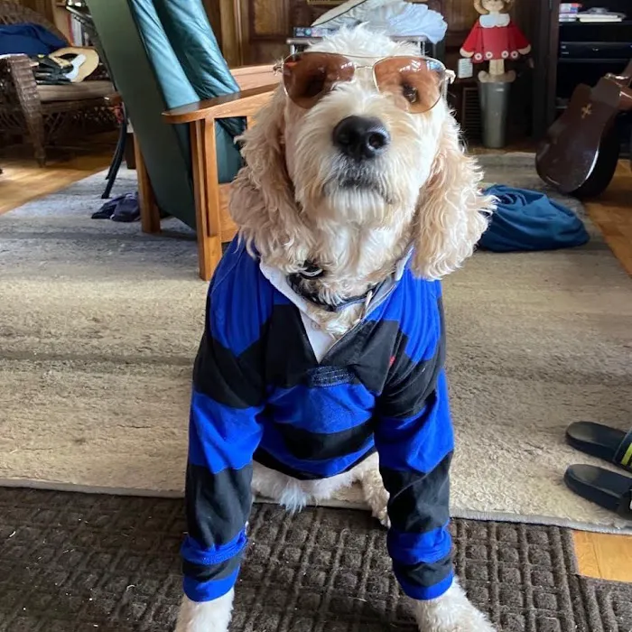 Arch Animal Hospital Picture 2