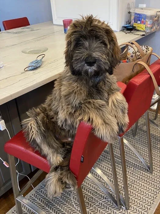 Arch Animal Hospital Picture 3