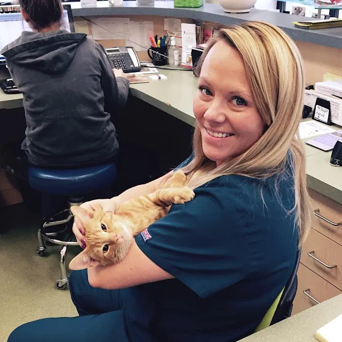 Arch Animal Hospital Picture 7