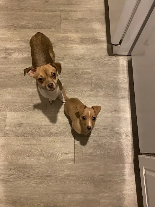 Arch Animal Hospital Picture 8