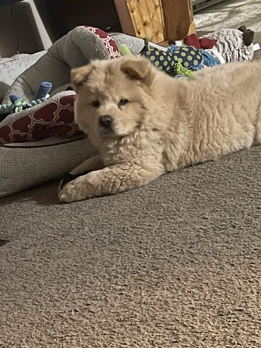 Valley Veterinary Clinic Picture 4