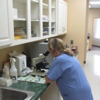 Valley Veterinary Clinic ico