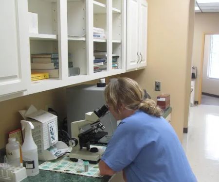 Valley Veterinary Clinic