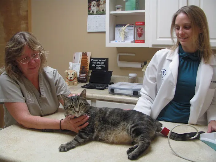 Valley Veterinary Clinic Picture 5
