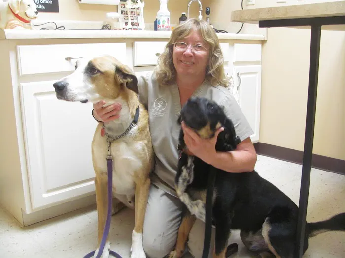 Valley Veterinary Clinic Picture 6