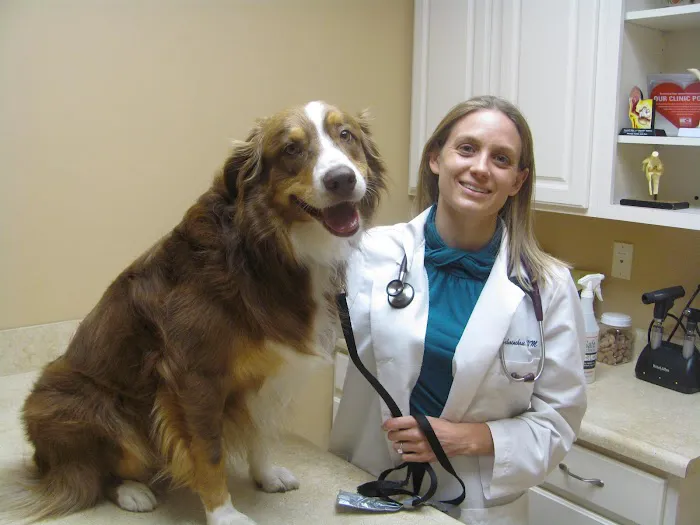 Valley Veterinary Clinic Picture 8