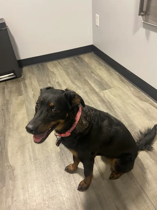 Cheap Pricks Picture 1