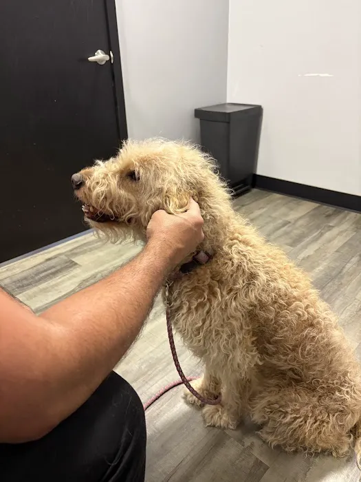 Cheap Pricks Picture 7