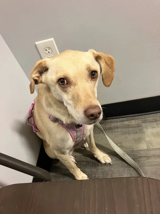 Cheap Pricks Picture 6