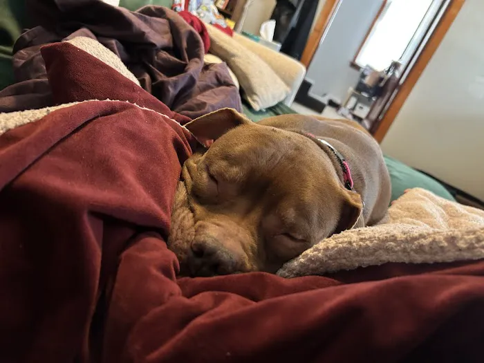 Bentley Animal Hospital Picture 1