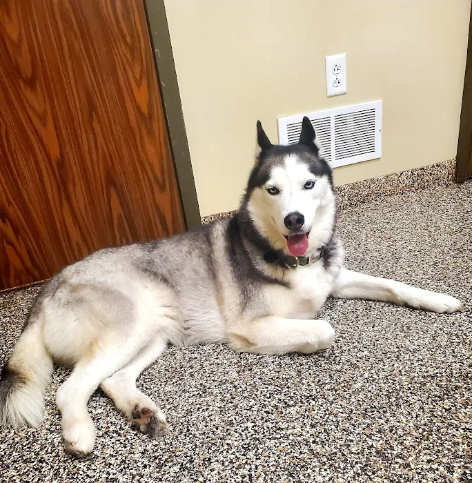 Bentley Animal Hospital Picture 3