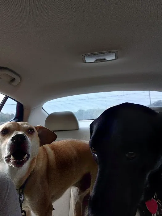 Bentley Animal Hospital Picture 2