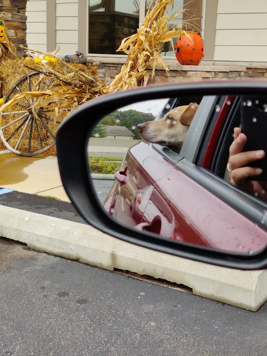 Bentley Animal Hospital Picture 6