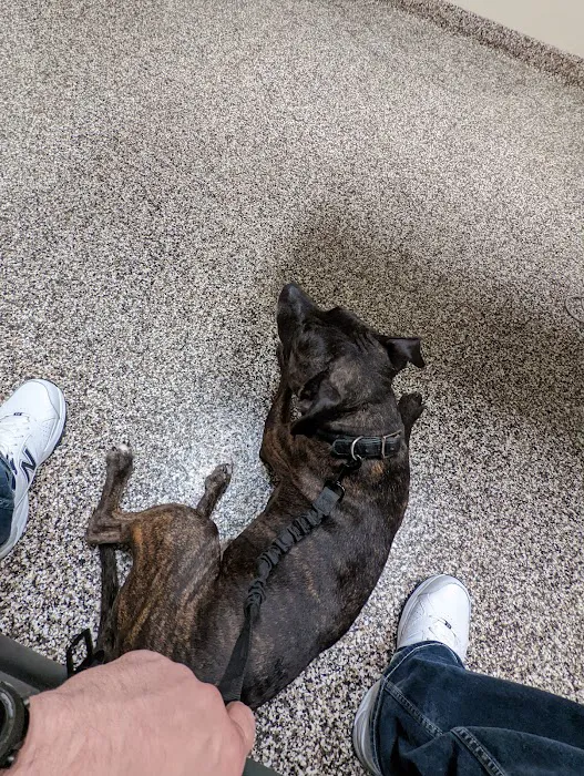 Bentley Animal Hospital Picture 7