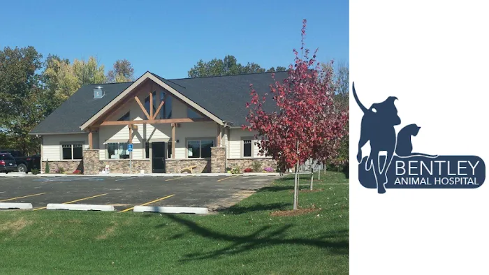 Bentley Animal Hospital Picture 8