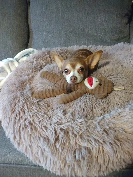 Mexico Road Animal Hospital Picture 5